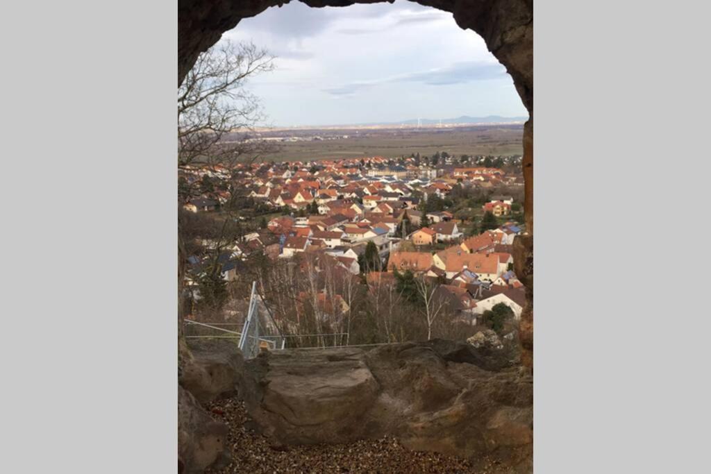 Wunderschoene Wohnung Mit Blick Auf Die Weinberge Neustadt an der Weinstraße Exteriör bild