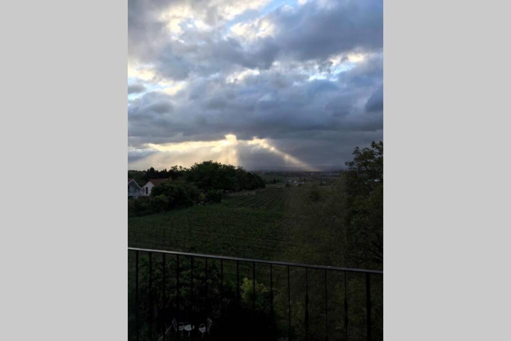Wunderschoene Wohnung Mit Blick Auf Die Weinberge Neustadt an der Weinstraße Exteriör bild